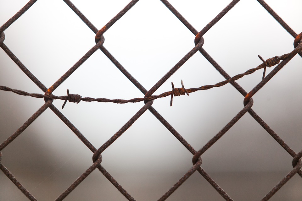 Korean Cryptocurrency Exchange execs imprisoned for defrauding investors