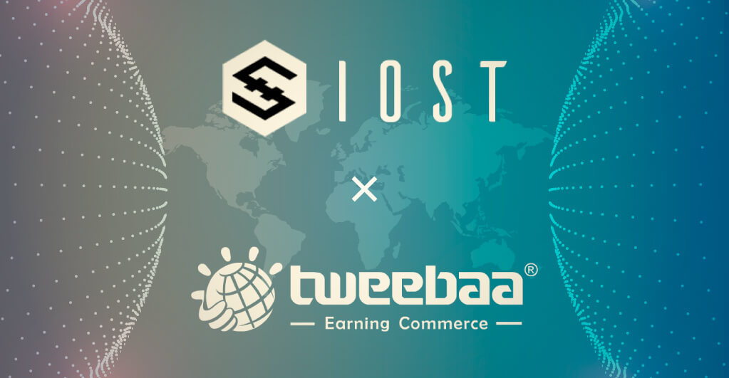 Tweebaa Crypto Spg Pack Com