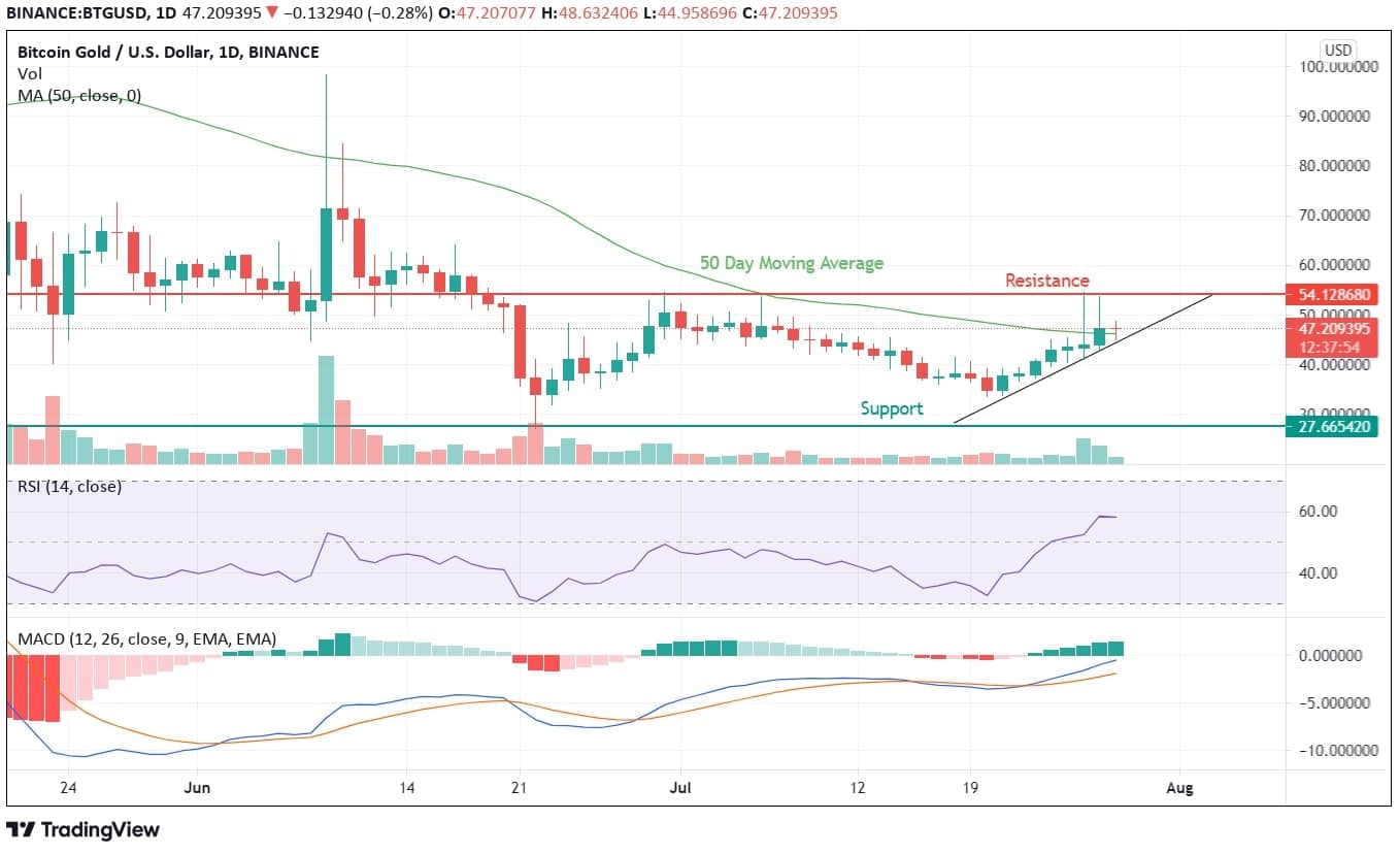 Bitcoin Gold Price Analysis