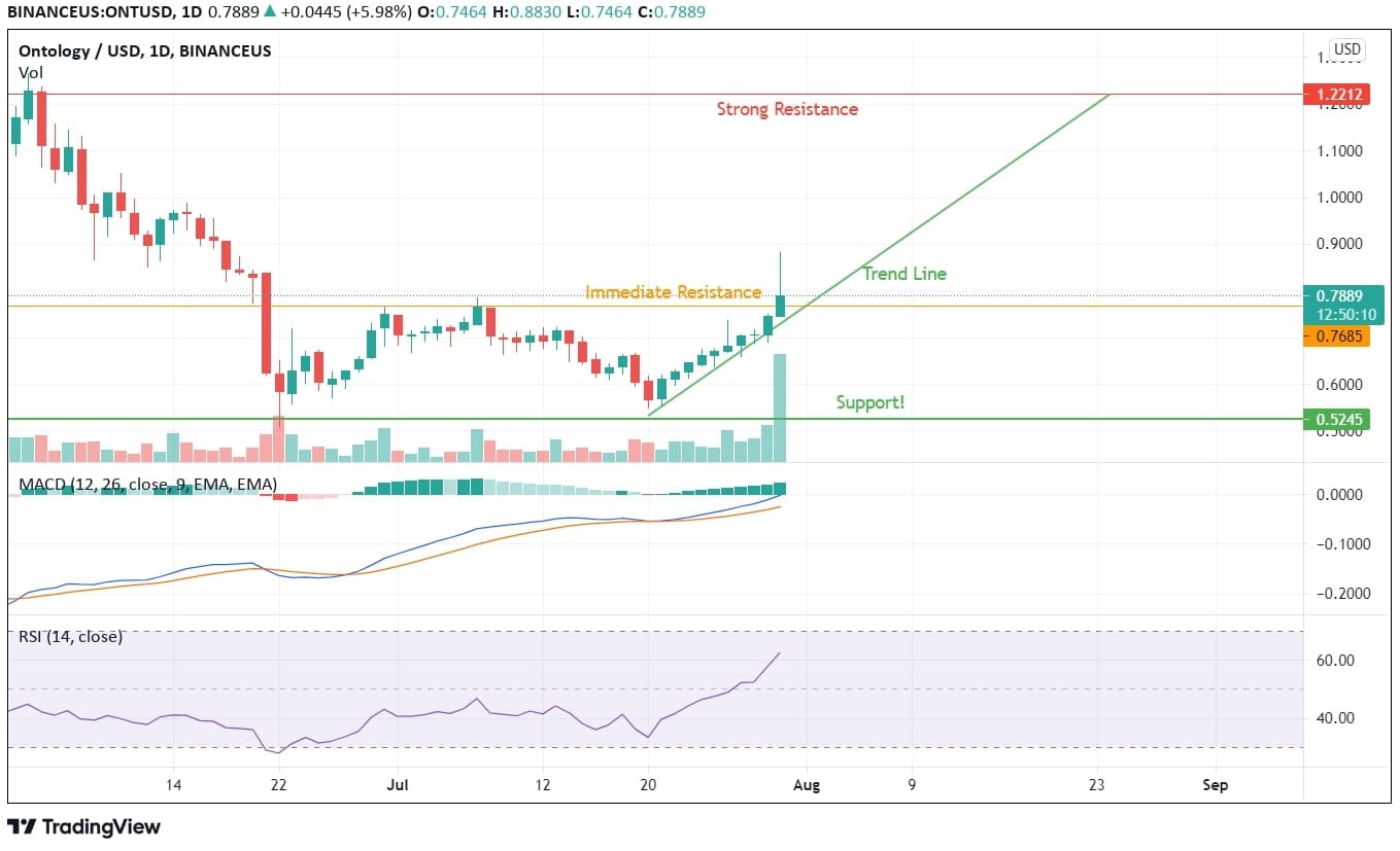 Ontology Price Analysis