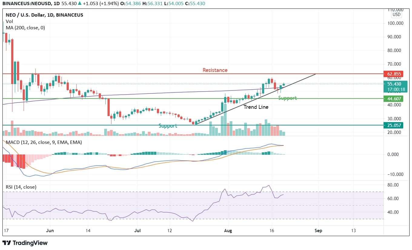 Neo Price Analysis