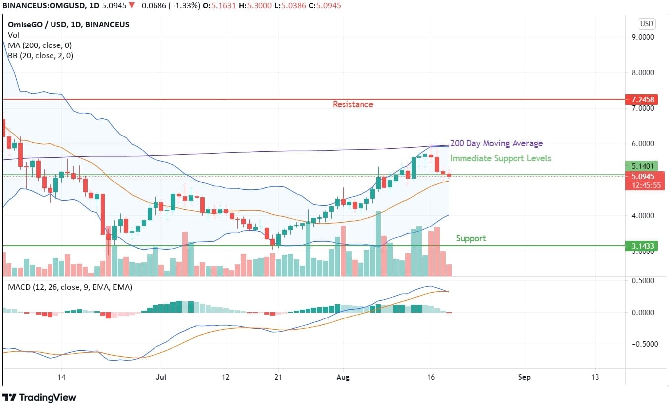 OMG Network Price Analysis
