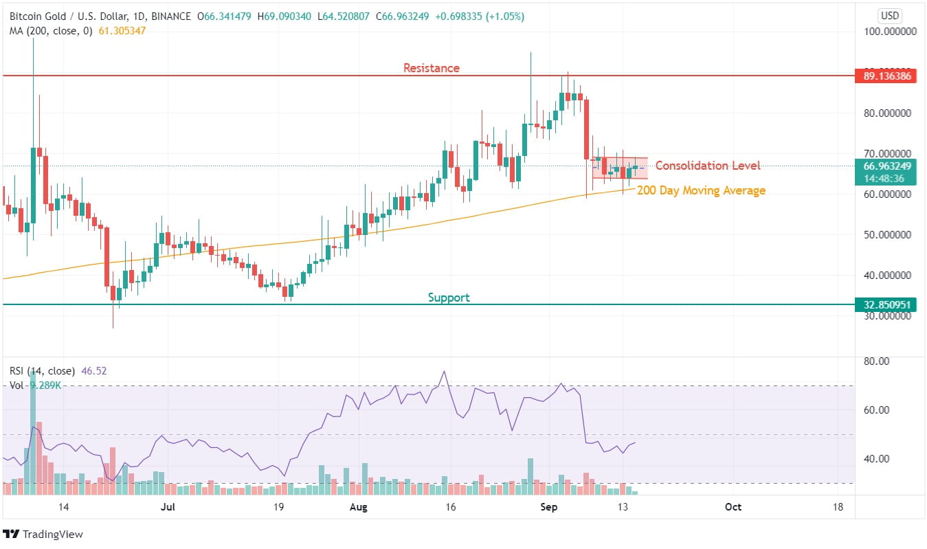 Bitcoin Gold Price Analysis