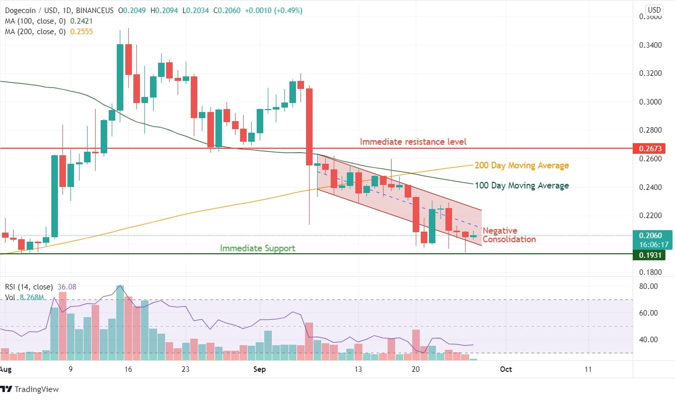 Dogecoin Price Graph
