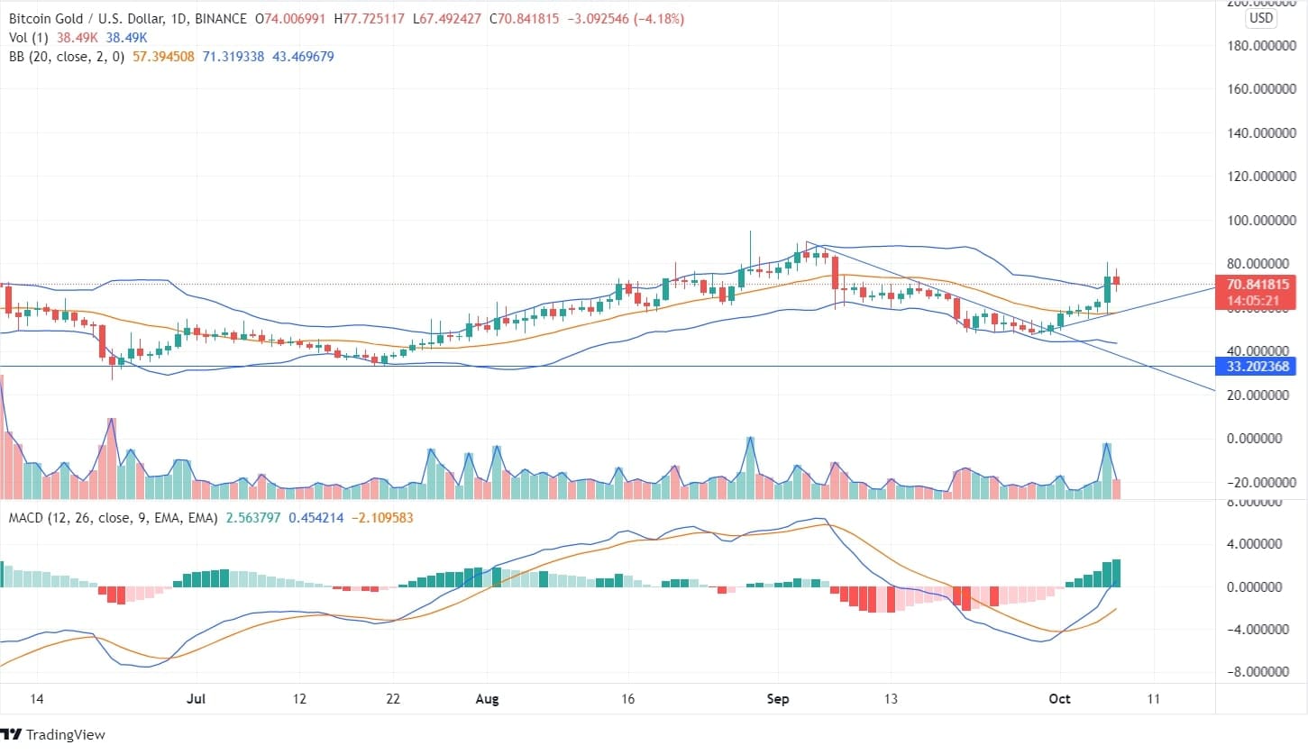 Bitcoin Gold Price Chart