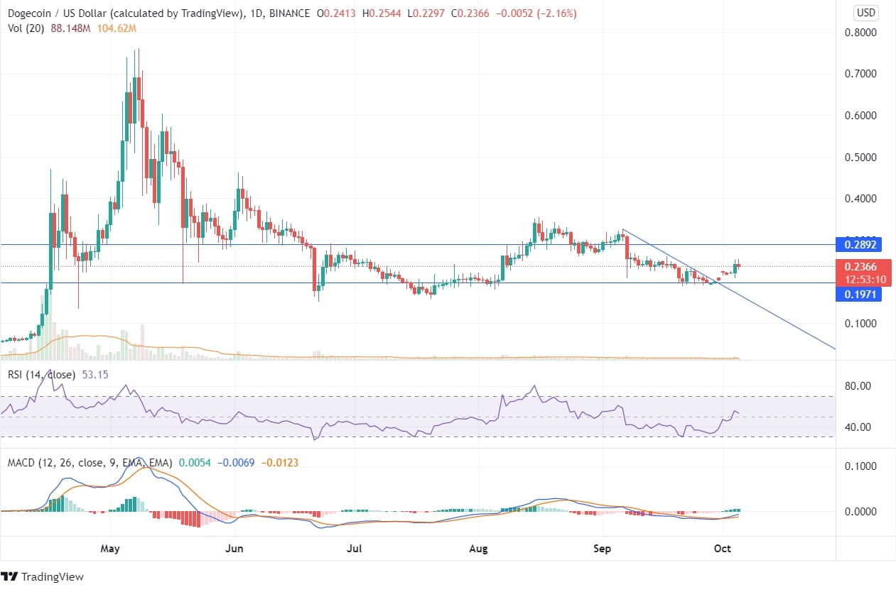 Dogecoin Price Chart