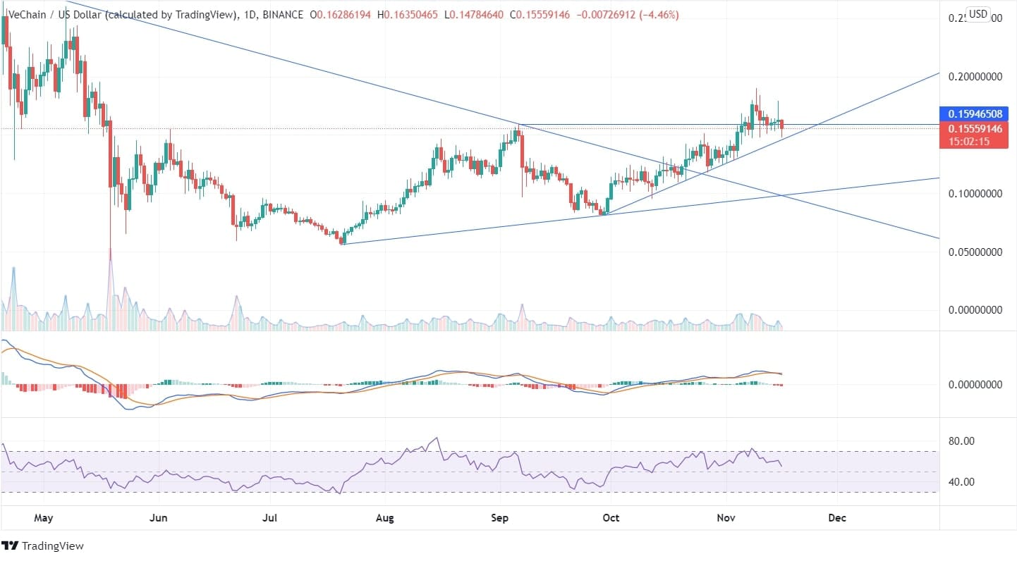 VeChain Price Analysis