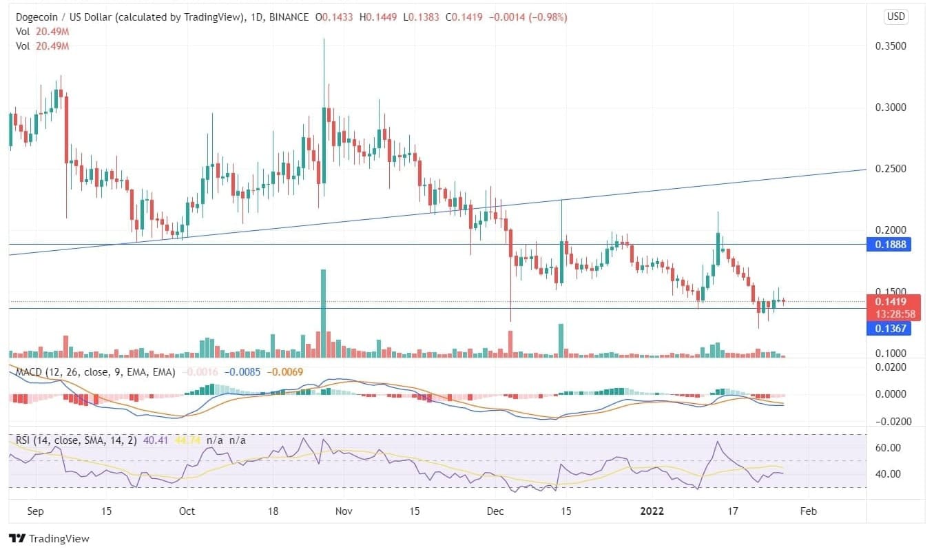 DOGE USD Price Chart