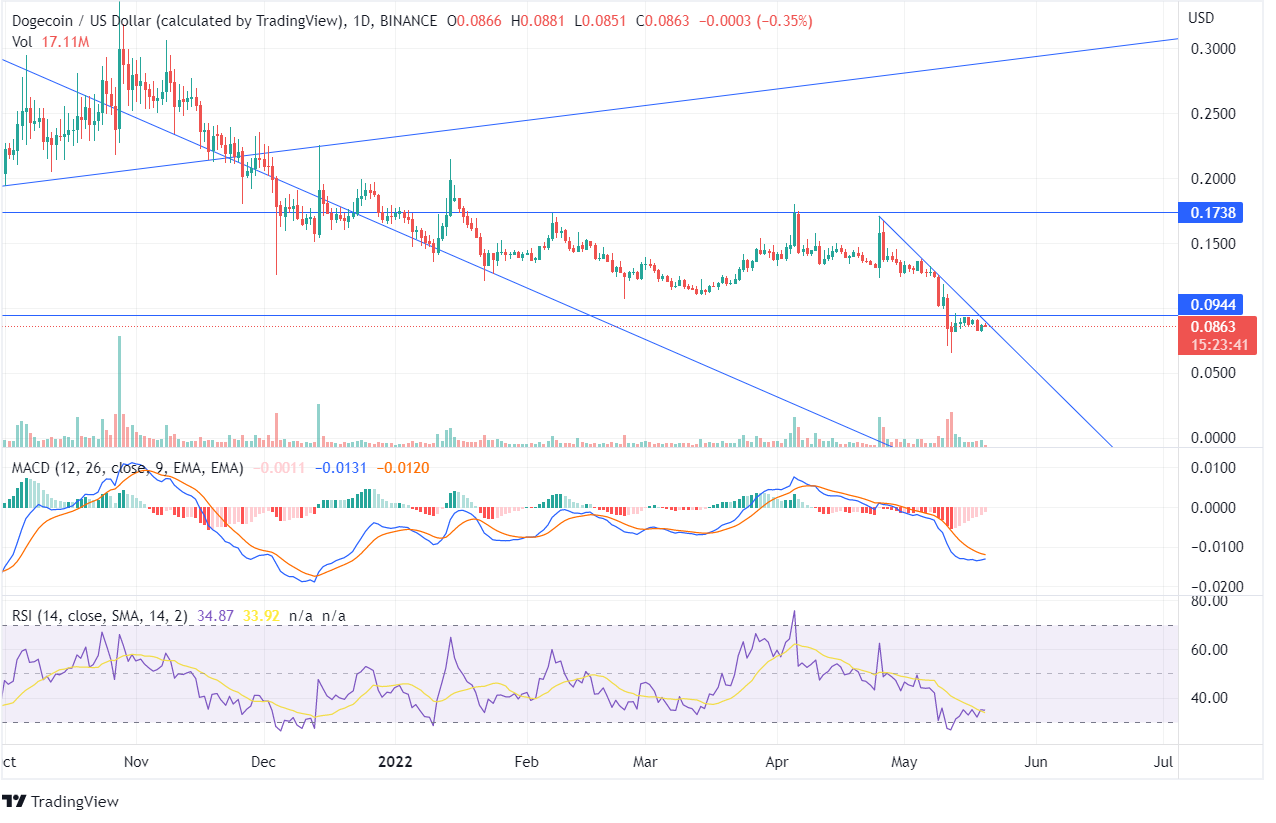 Dogecoin Price Prediction