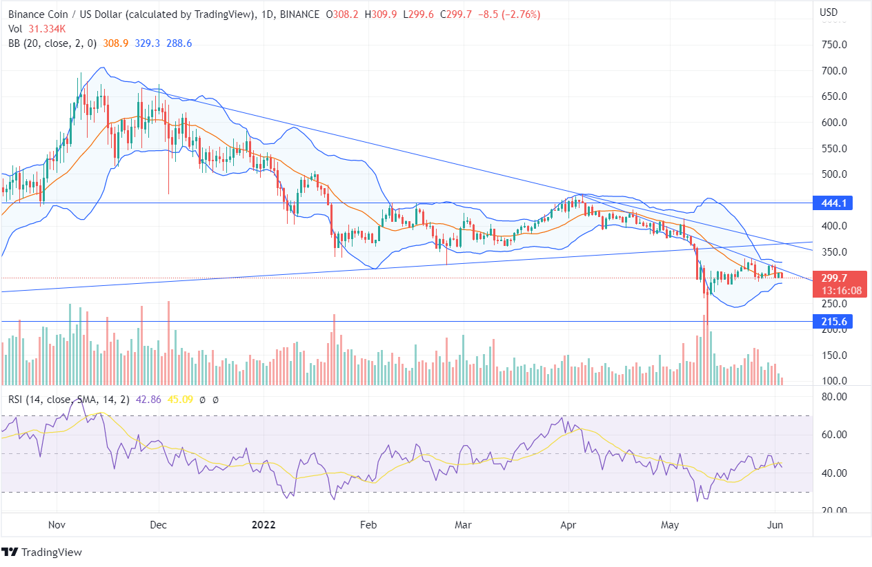 BNB Coin Price Analysis