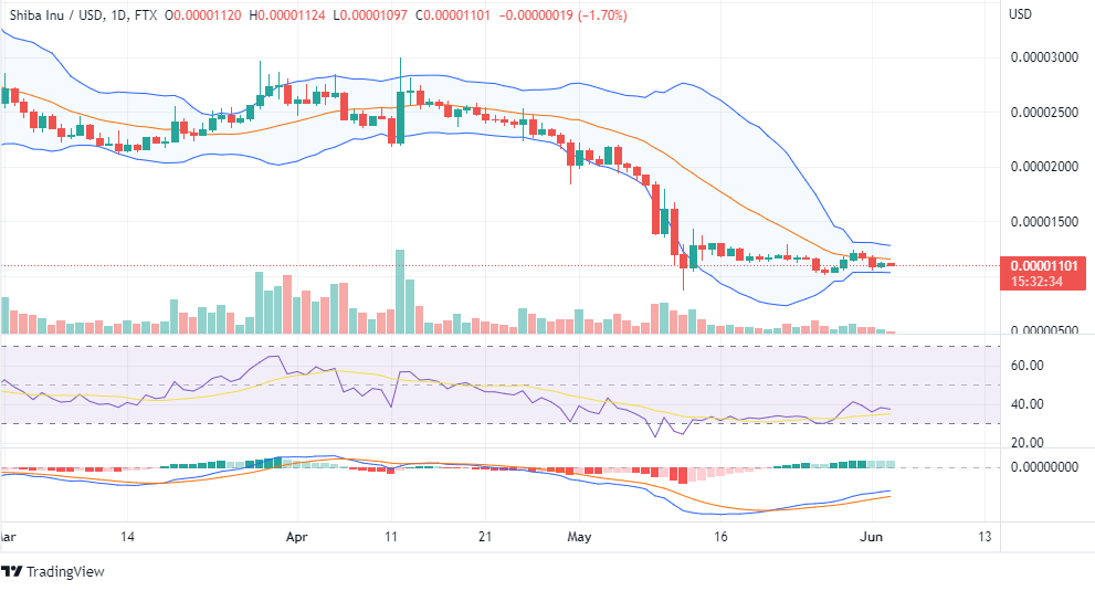 SHIB Token Price Analysis