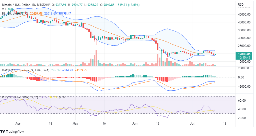 BTC Price Chart BTC Price Chart