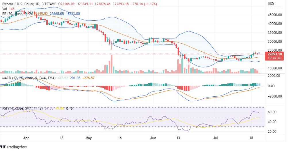 Bitcoin price analysis