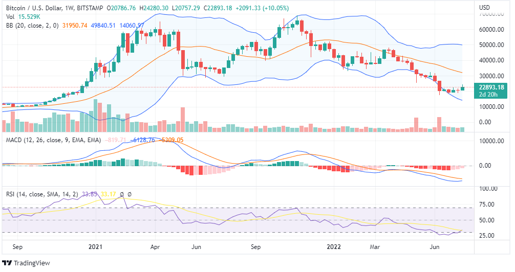 Bitcoin price chart