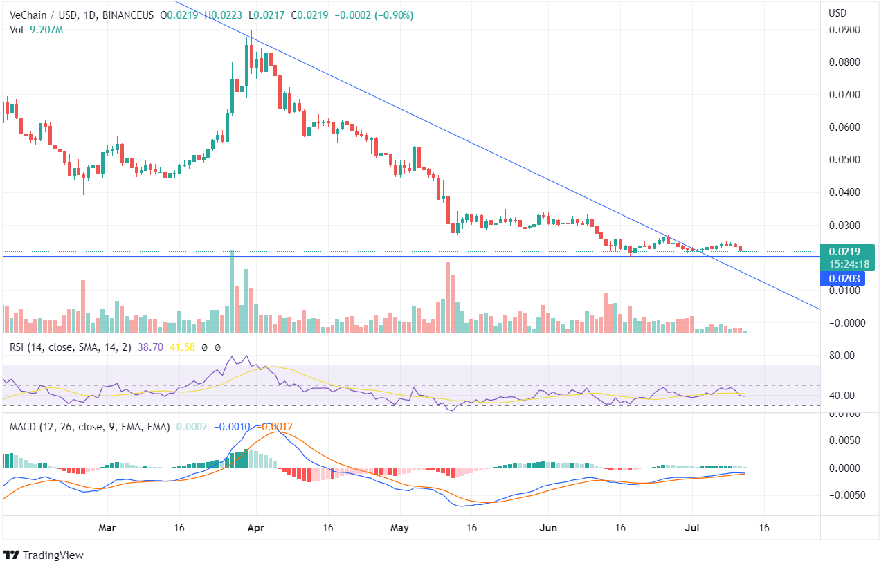 VET Price Prediction Chart