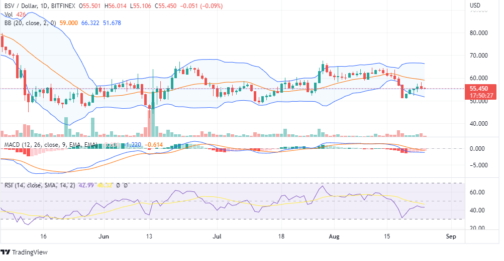 BSV Price Chart