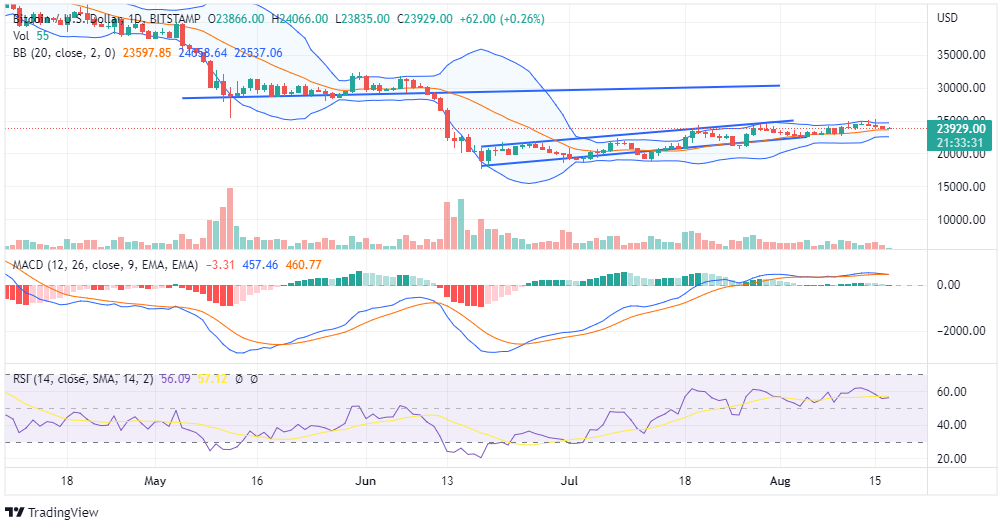BTC PRICE CHART