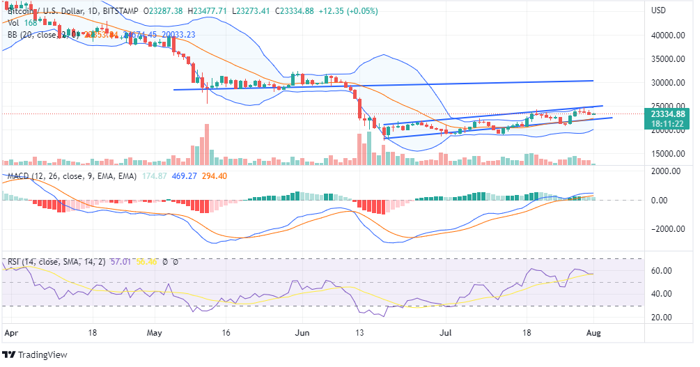 BTC Price Chart BTC Price Chart