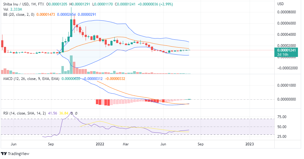 SHIB PRICE ANALYSIS (2)