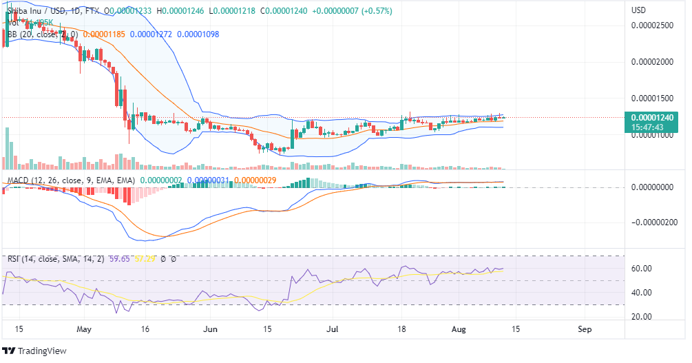 SHIB PRICE CHART (1)