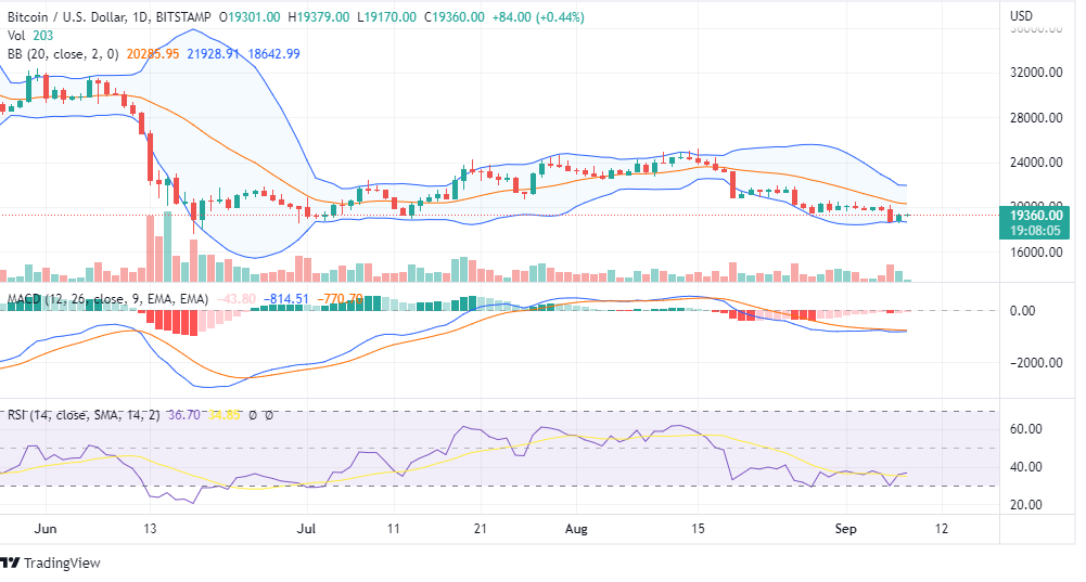 BTC CHART
