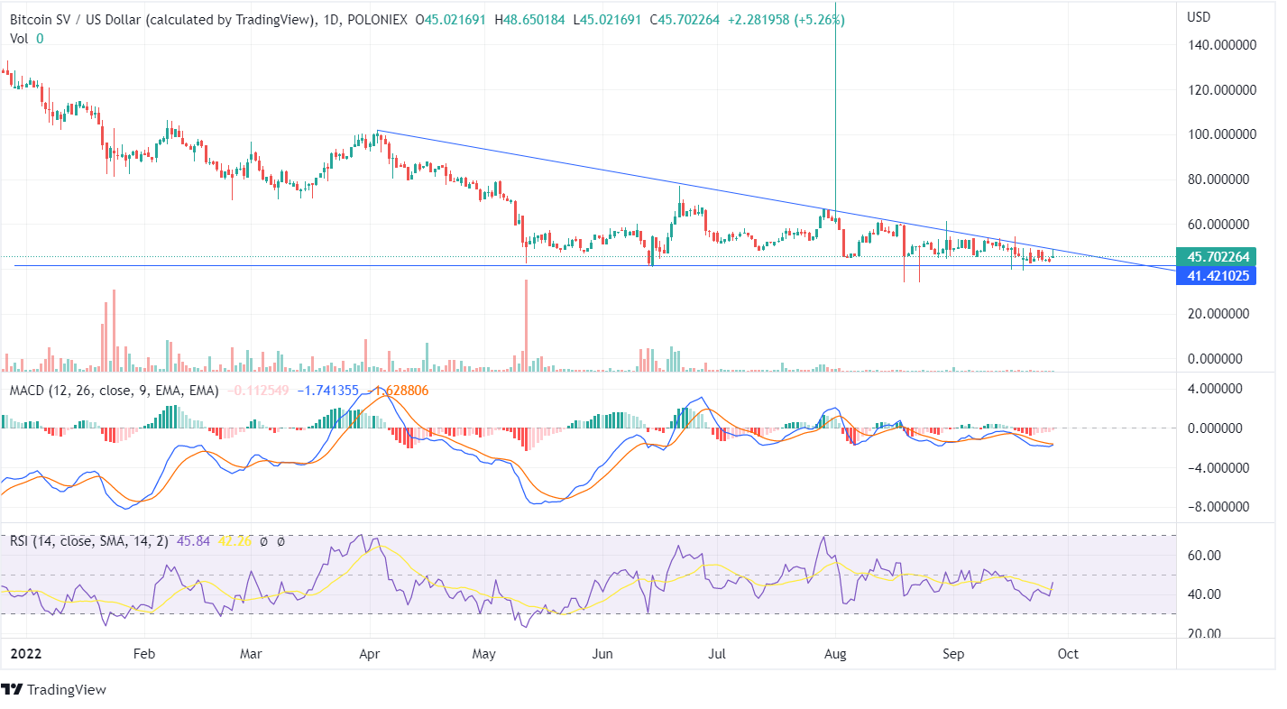 Bitcoin SV Price Chart