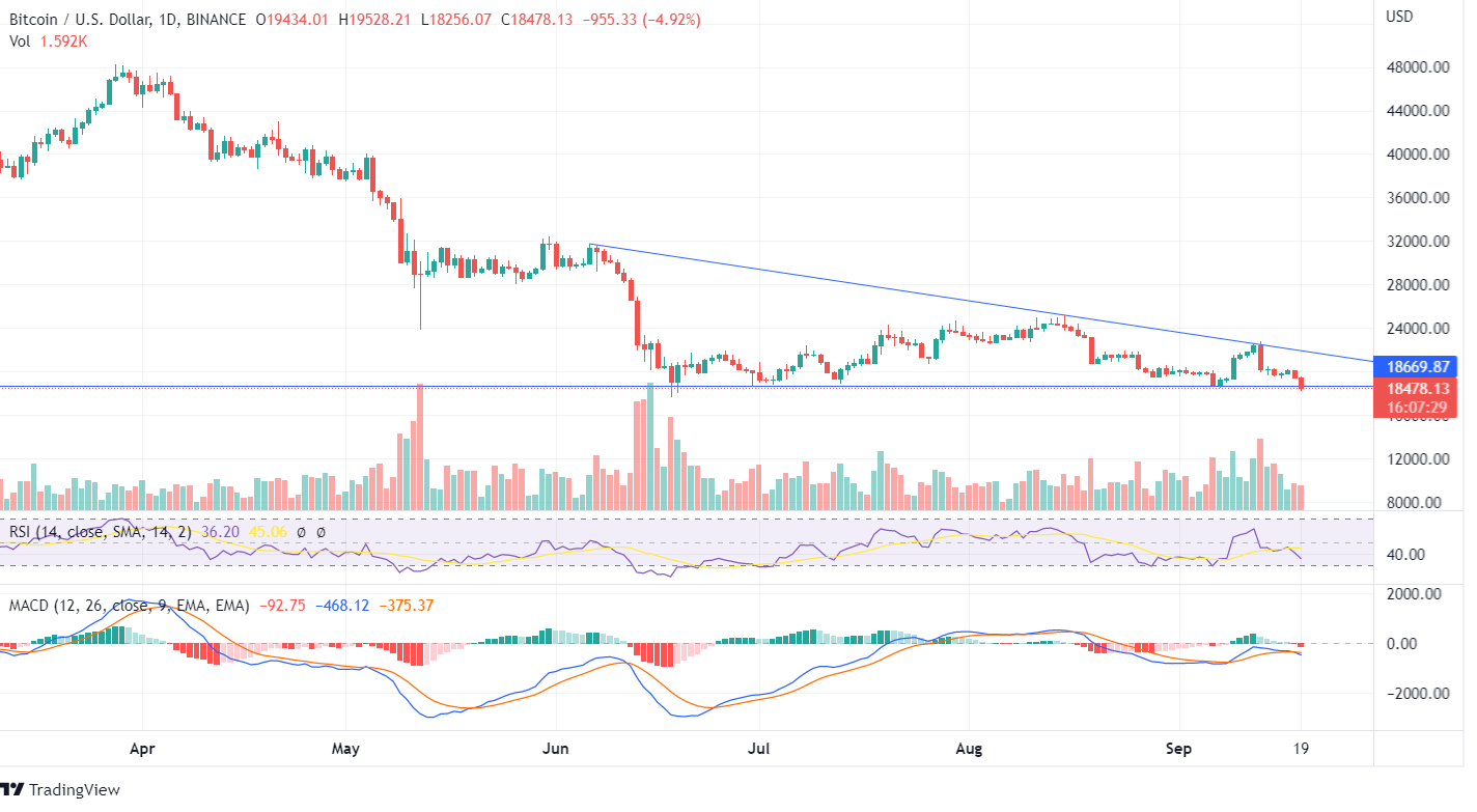 Bitcoin price chart