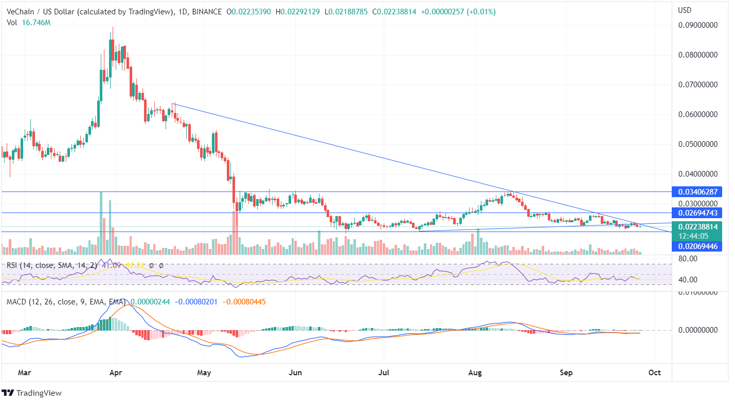VET Price Chart