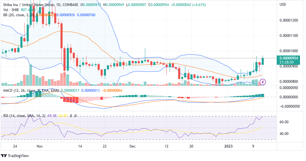 SHIB PRICE CHART