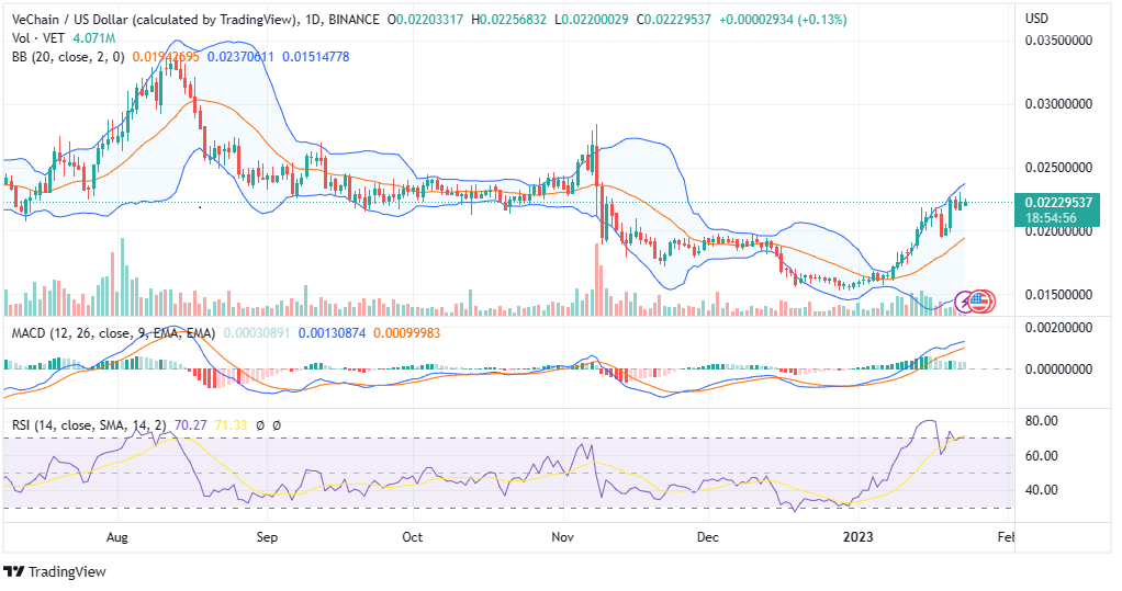VET PRICE CHART