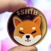 Shiba Inu gets listed in Virtual Asset Index by HKVAC
