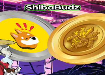 Top investors in Bonk make strategic