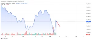Bitcoin price graph Bitcoin price graph