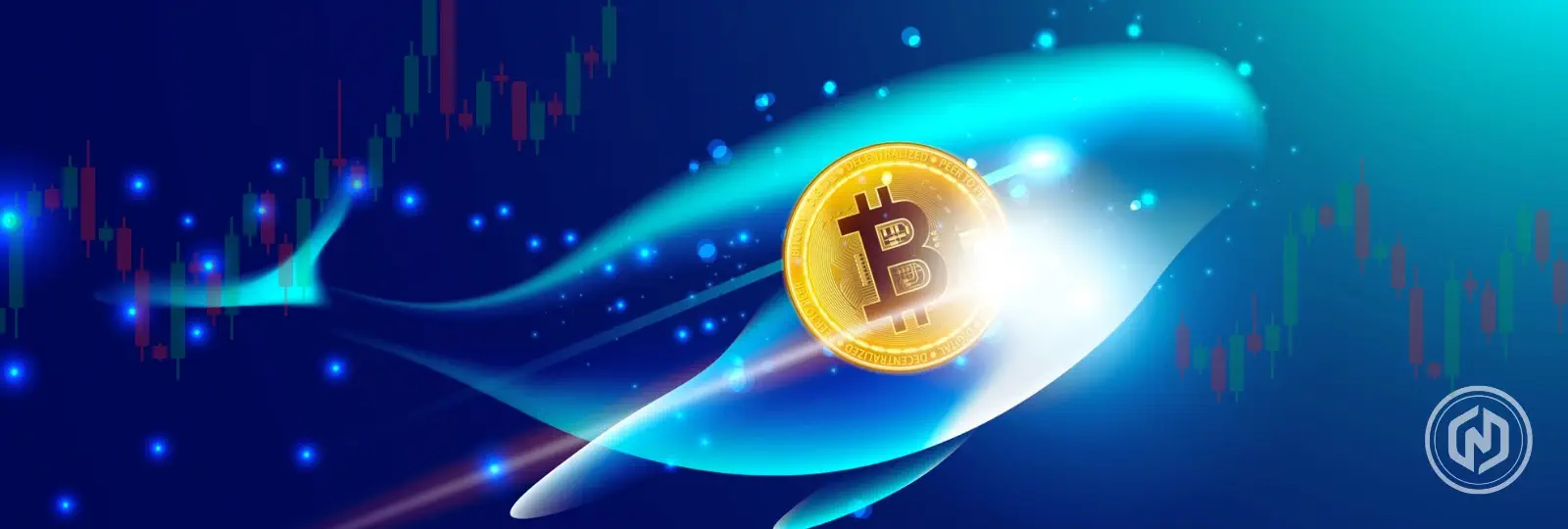 Bitcoin Whales Start HODLing for All Time High: Bitcoin Price Can Go Up