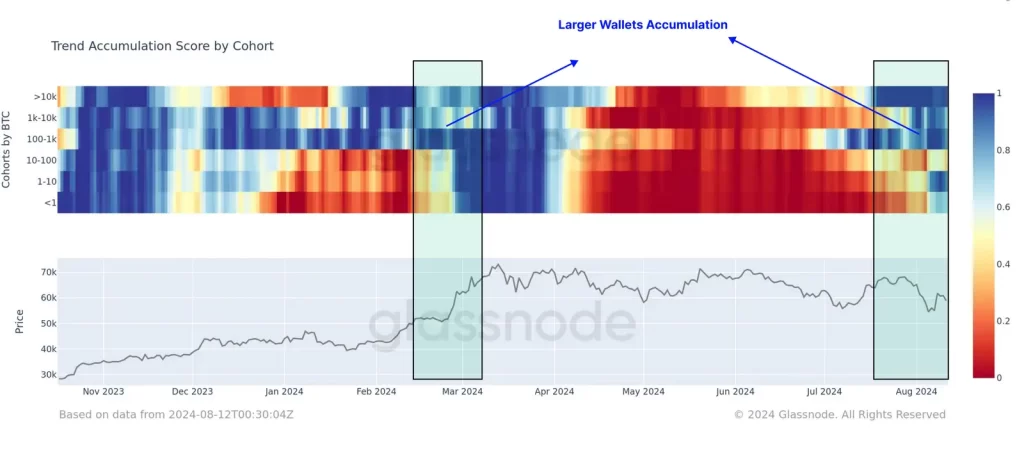 Boost bitcoin holdings - Glassnode
