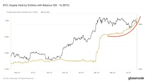 Whales in the Mix Whales in the Mix