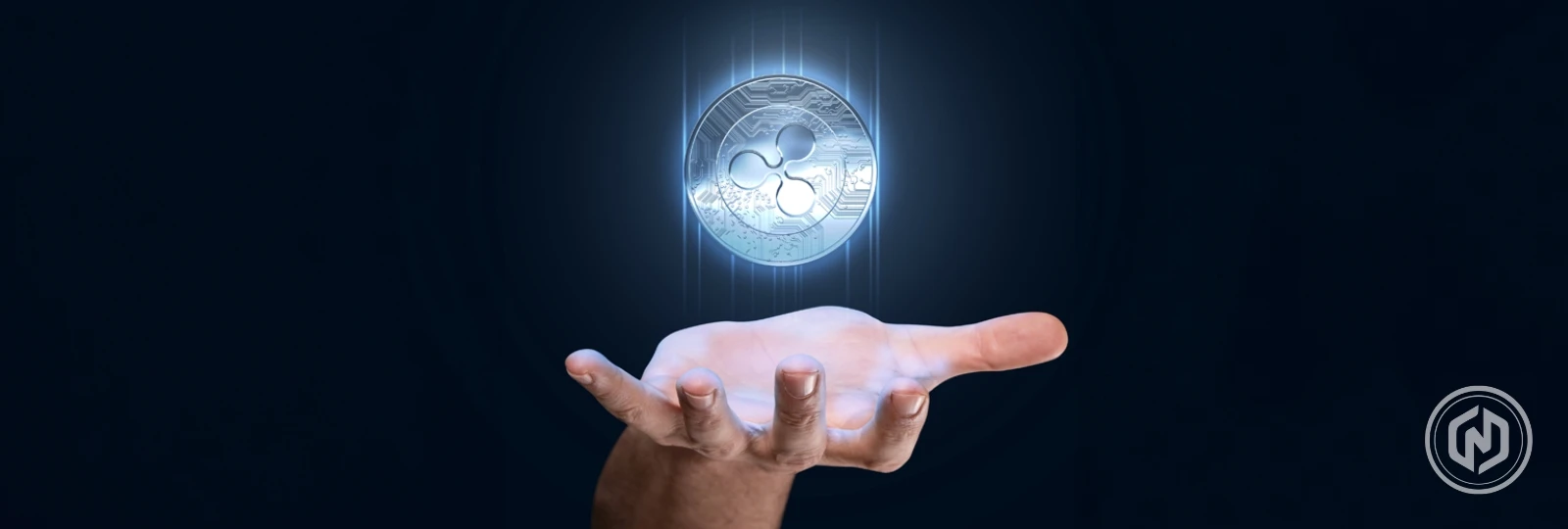 XRP Eyes $1 Target: Analysts Predict Bull Run