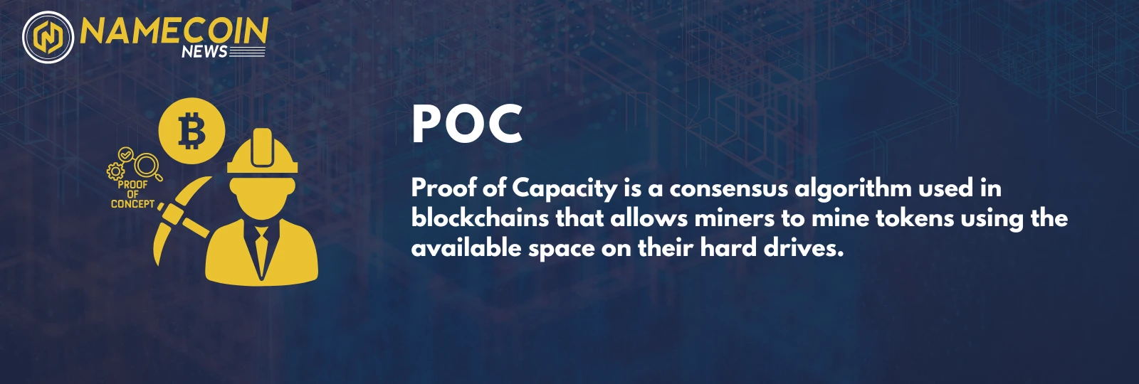 what is poc full form?