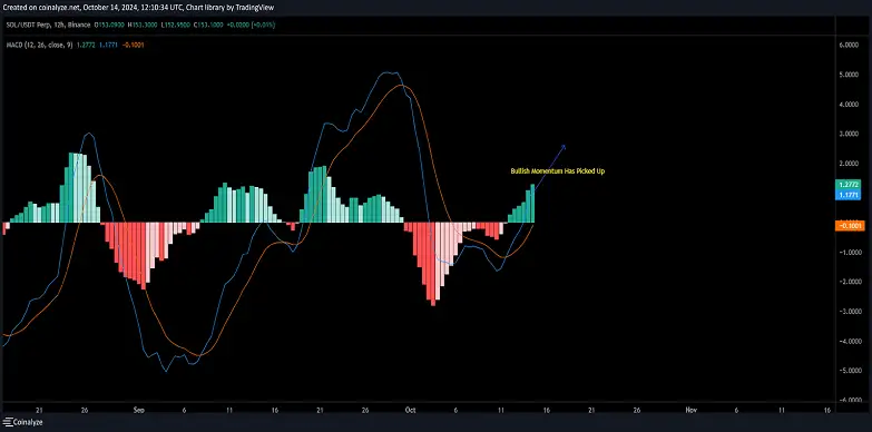 Technical Indicators Supporting a Potential Upswing