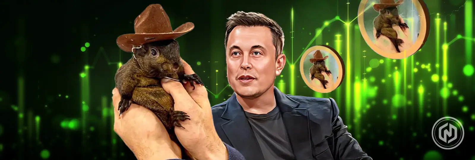 Elon Musk's Tweet Sends PNUT Meme Coin Climbing 200%.