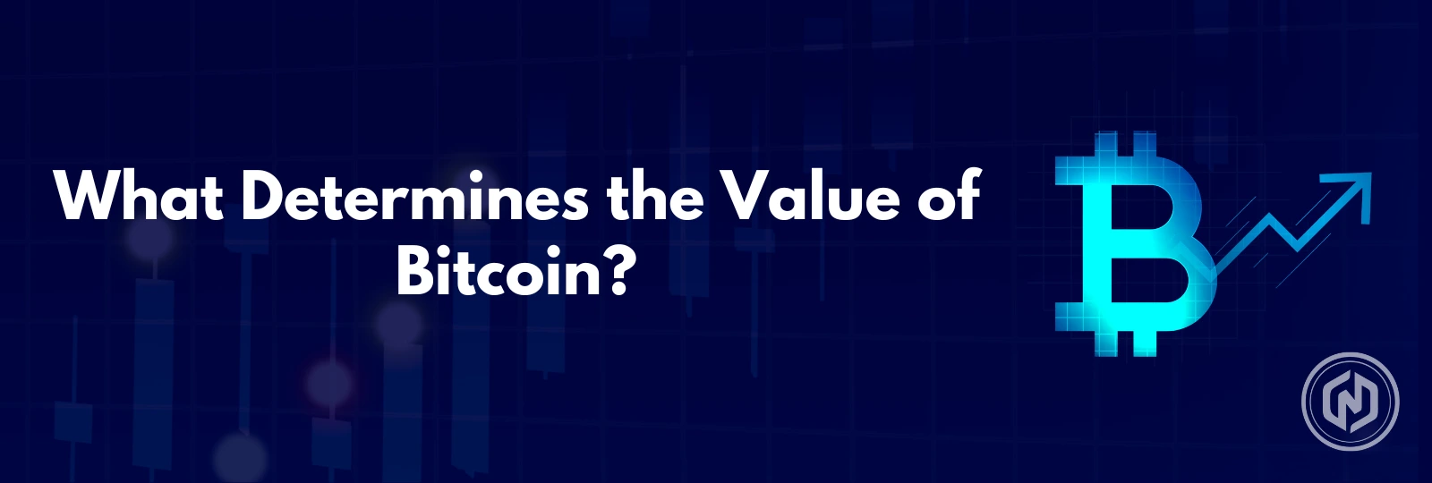 What Determines the Value of Bitcoin