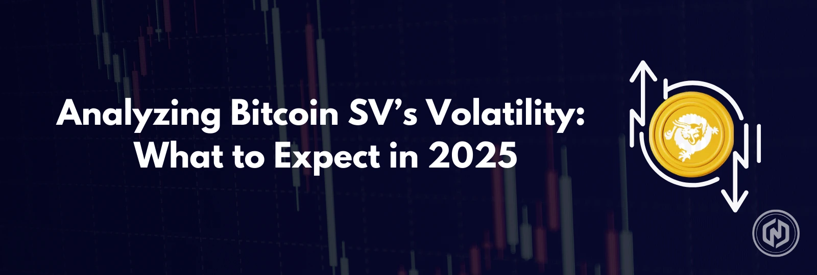 Analyzing Bitcoin SV’s Volatility_ What to Expect in 2025