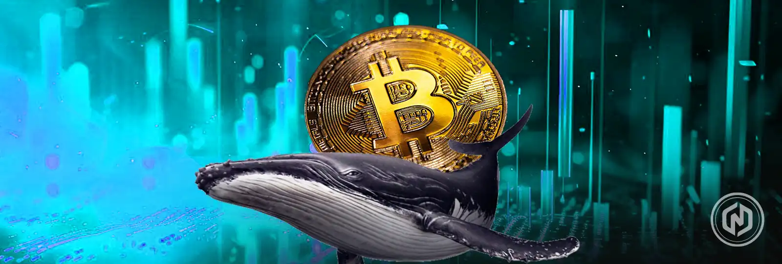 Bitcoin Price Rallies on whale purchase spree