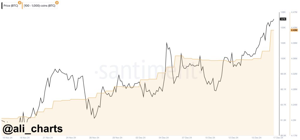Bitoin price Analysis