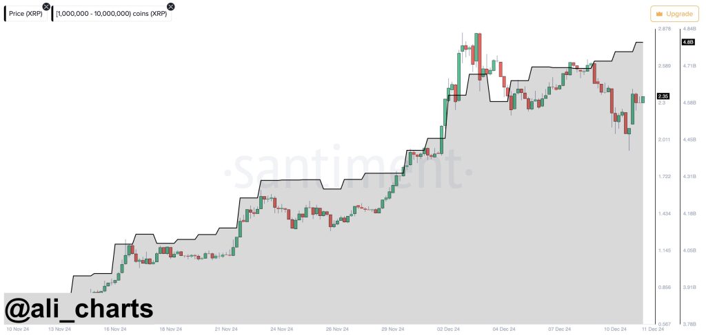 XRP Whale buying activity as per Ali Martinez