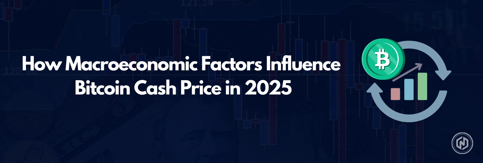 How Macroeconomic Factors Influence Bitcoin Cash Price in 2025