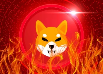 Shiba Inu Burn SHIB Price