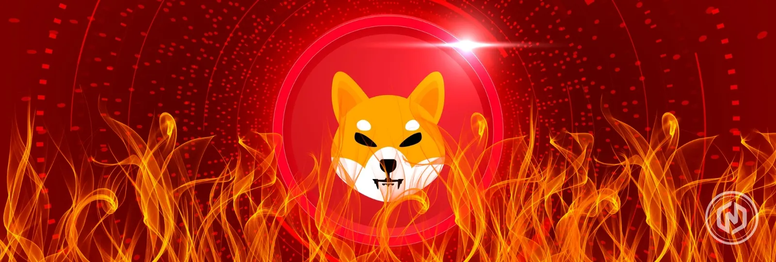 Shiba Inu Burn SHIB Price
