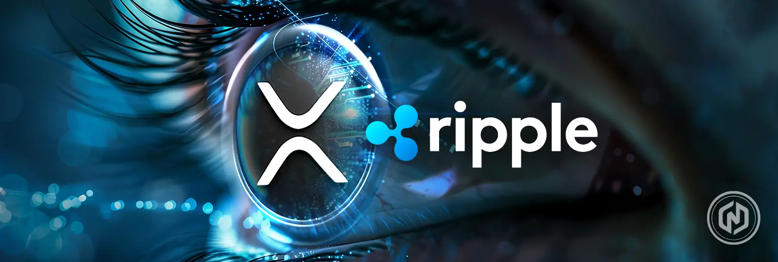 XRP Cardano Ripple RLUSD