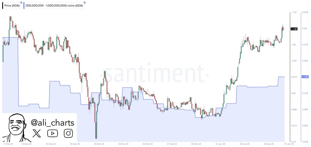 Ali Martinez Chart Analysis